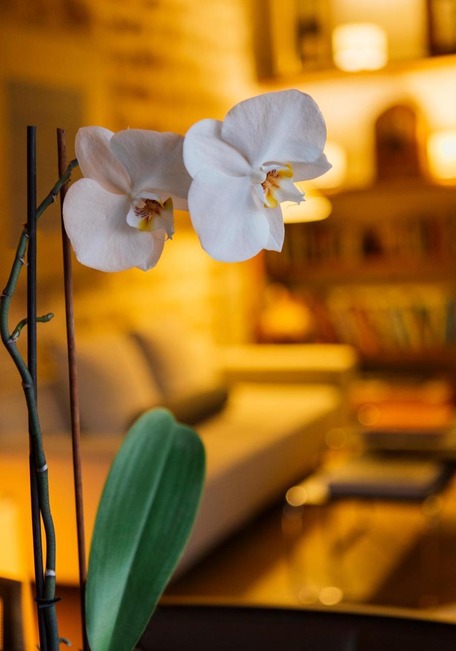 Hotel Cresol Calaceite Ngoại thất bức ảnh